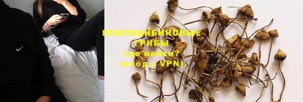 гидра Алексеевка