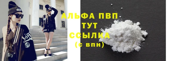 ешки Алексин