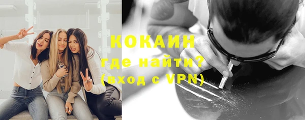 ешки Алексин