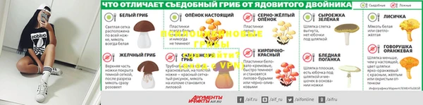гидра Алексеевка