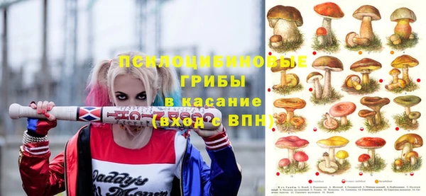 Альфа ПВП Алзамай