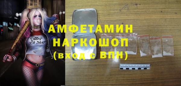 ешки Алексин