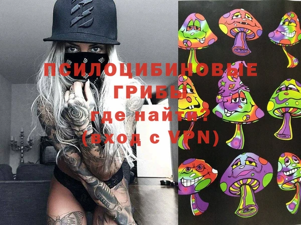 Альфа ПВП Алзамай